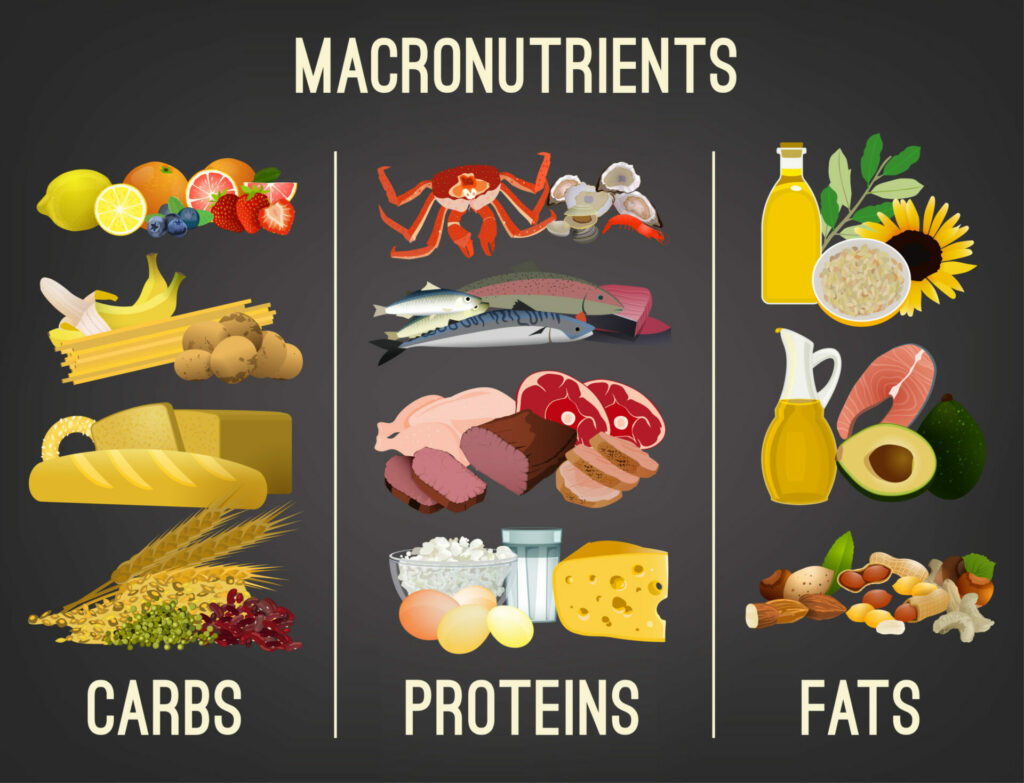 Main food groups arranged on a table